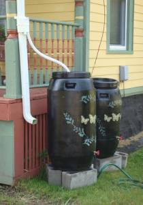 Contributed photo
A simple rain barrel system captures and stores water for gardens and households  one of the practical strategies featured in this months Islands Resilience panel.