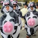 Heather Spaulding photo
A herd of cows.