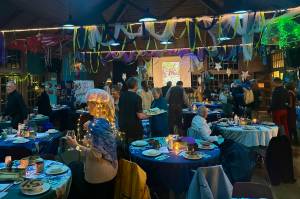 Contributed photo by Marieke Dannaiu
Islanders dressed in varied marine themed costumes at the Alchemy Art Centers Gala.