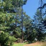 Contributed photo.
Another angle of the tower with storage and generator.