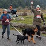 Runners and dogs reach the finish line.