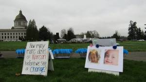 Contributed photo.
Signs and blue flags commemorating the child fatalities and near-fatalities since the Keeping Families Together Act passed in 2021.