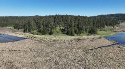 Beaverton Marsh Preserve. Contributed photo.