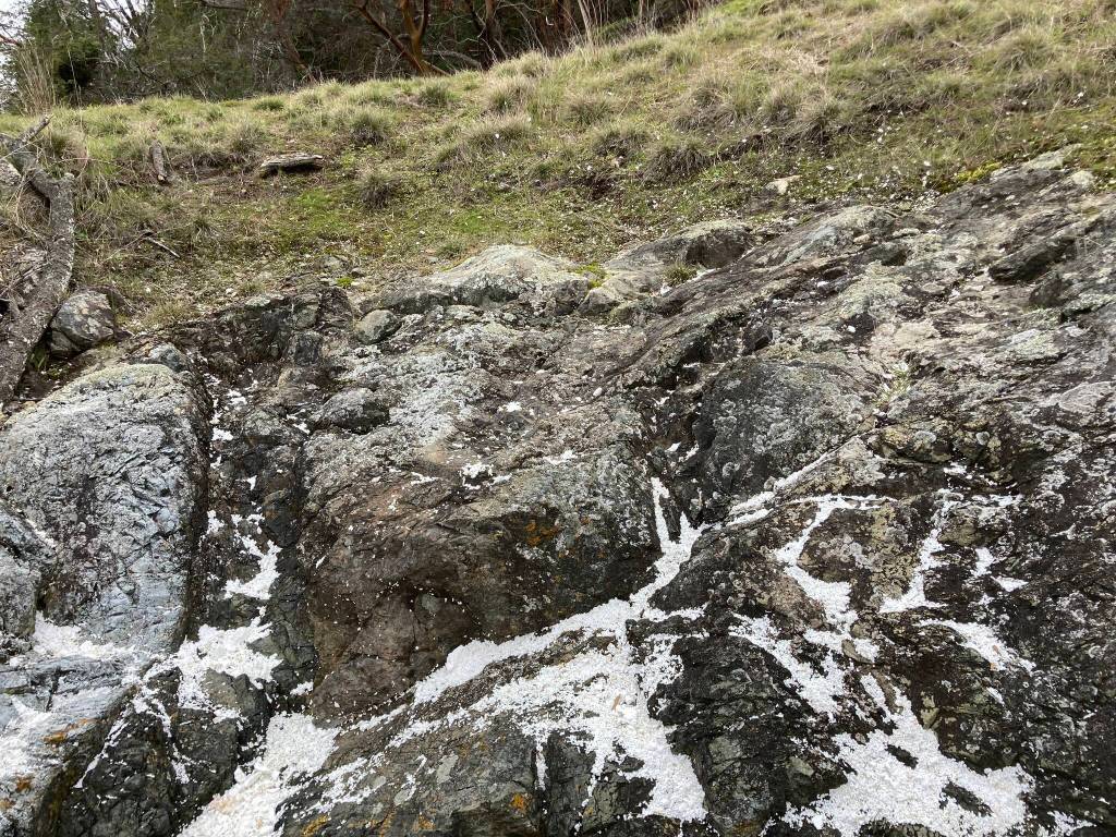 Contributed photo.
Microplastics on the shore.