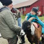 Contributed photos. 
Island Haven Animal Sanctuary has an all-women board.
