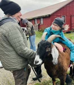 Contributed photos. 
Island Haven Animal Sanctuary has an all-women board.