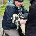 Contributed photo. 
Julie Duke jokes that Island Haven is SJIs best-kept secret.