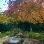 Contributed photo
A sculpture in the Cancer Care Garden.