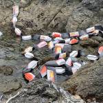 Contributed photo by Kari Koski.