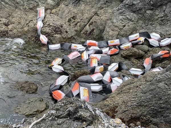 Contributed photo by Kari Koski.