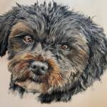 Pamela always begins with the eyes when she does pet portraits. And then they watch me paint, she said.